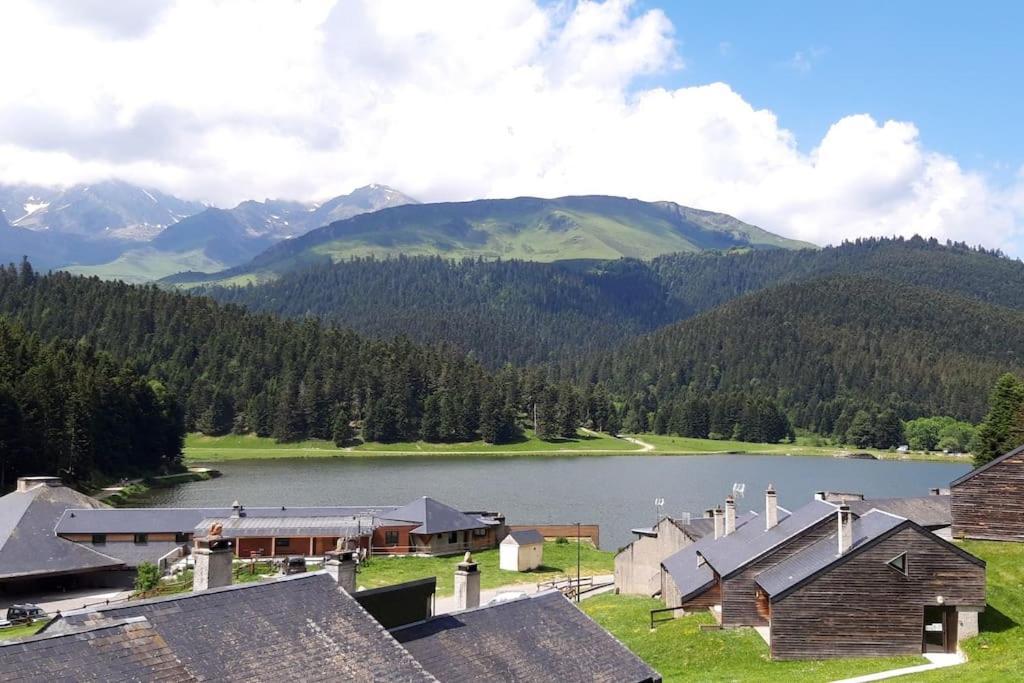 La Cabane Du Cerf A Payolle Campan Exteriör bild